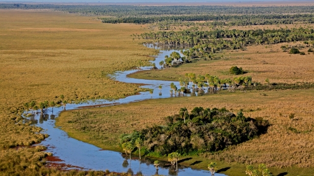 Esteros del Ibera, Argentina