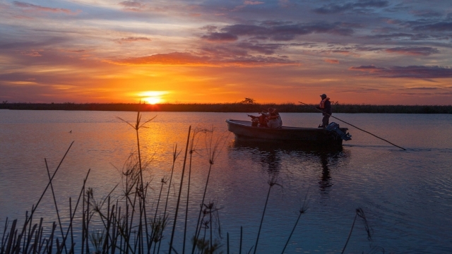 Esteros del Ibera, Argentina