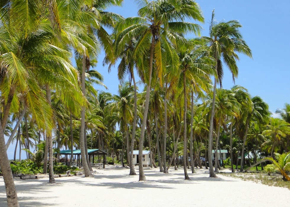 Finding Paradise on Ambergris Caye