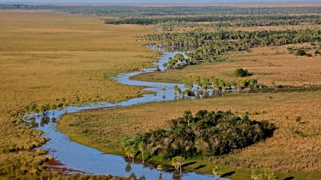 Esteros del Ibera wetlands