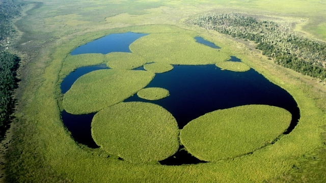 Ibera wetland, Argentina