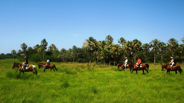 Horseback riding in Esteros del Ibera