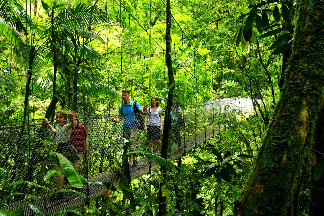 Hanging bridges in Arenal's Rainforest