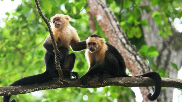 Nicoya Peninsula, Costa Rica