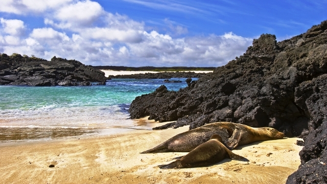 Galapagos Islands, Ecuador