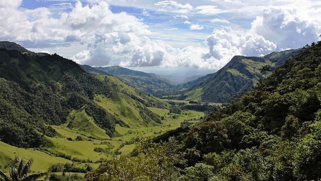 Cocora Valley, Colombia