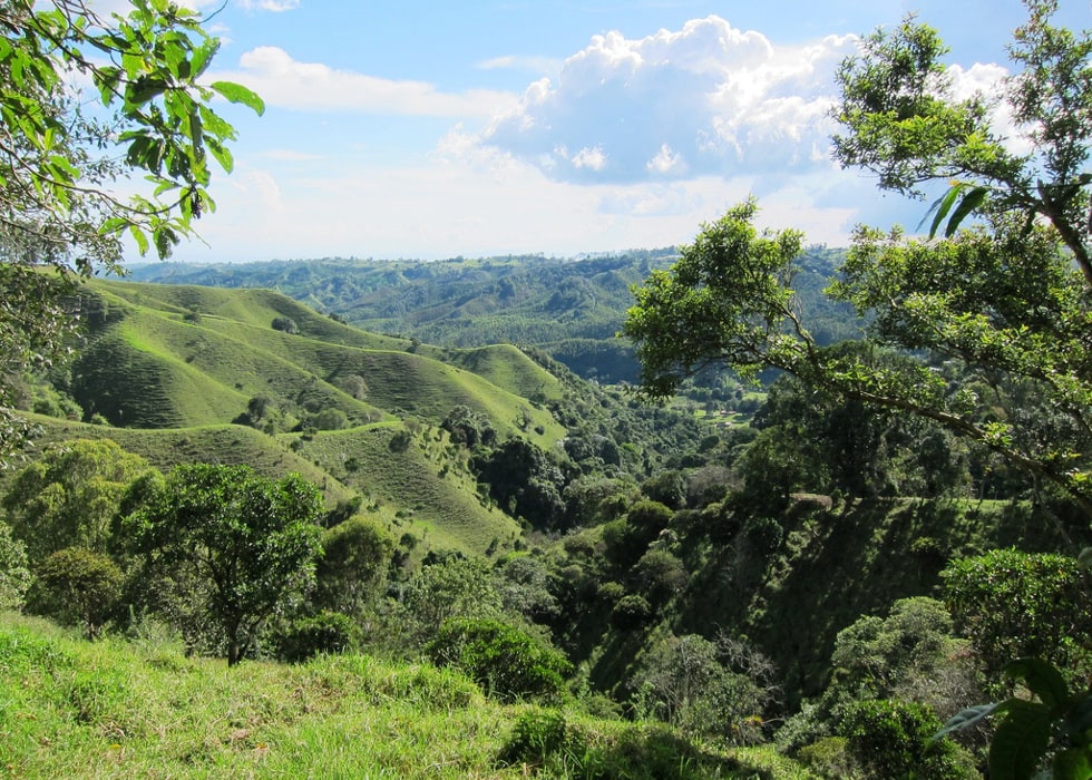 Your Guide to the Coffee Cultural Landscape of Colombia