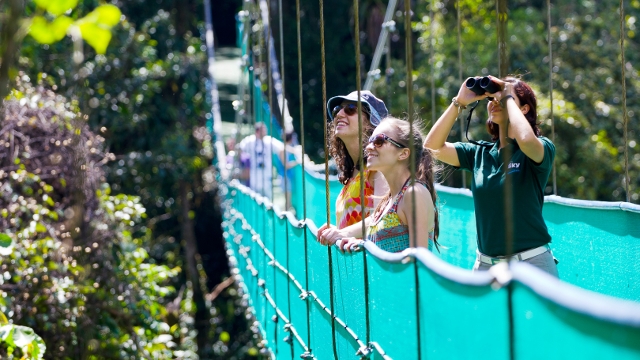 Monteverde Hanging Bridges