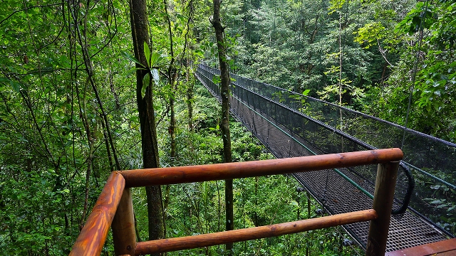 El Remanso Canopy Tour