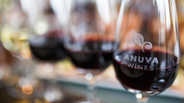 Anuva Wines Wine Tasting