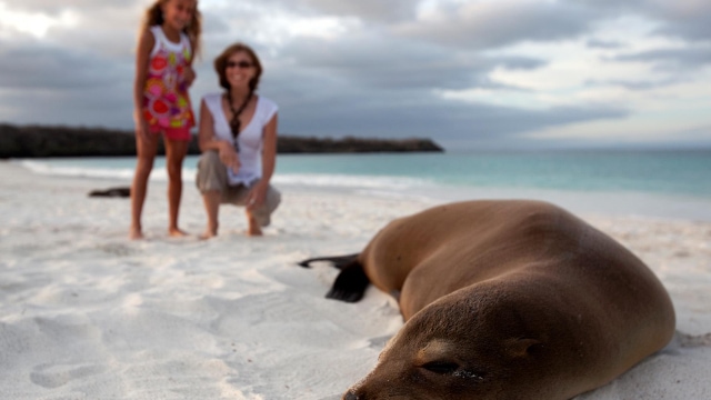 Galapagos Islands