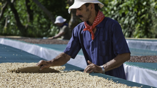 Finca Rosa Blanca Coffee, Heredia