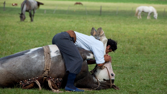 Estancia El Ombu, San Antonio de Areco