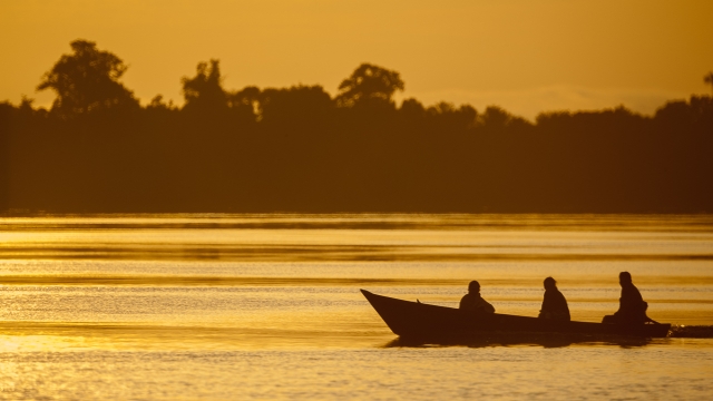 Anavilhanas Lodge, Amazon