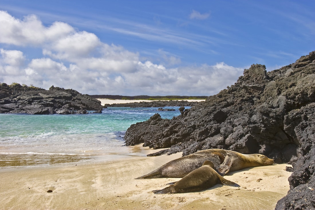 Galapagos Islands, Ecuador.