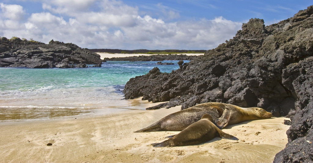 South America's Most Unique Island Vacations