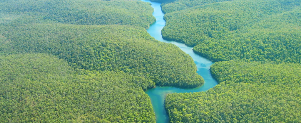 Bolivian and Peruvian Amazon