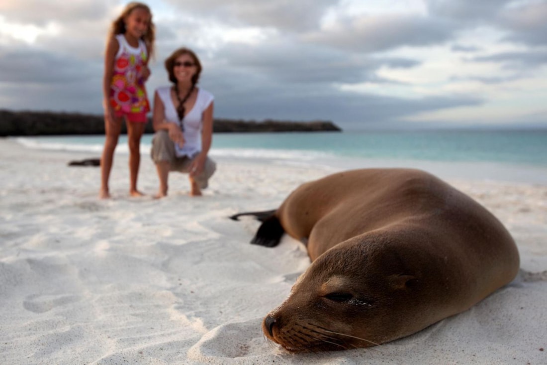 Galapagos Islands