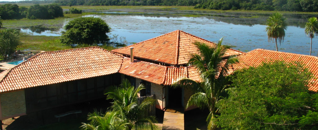 Refugio Caiman in the Pantanal