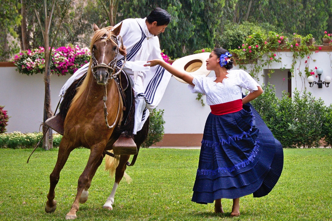 Peruvian Paso Horse Show